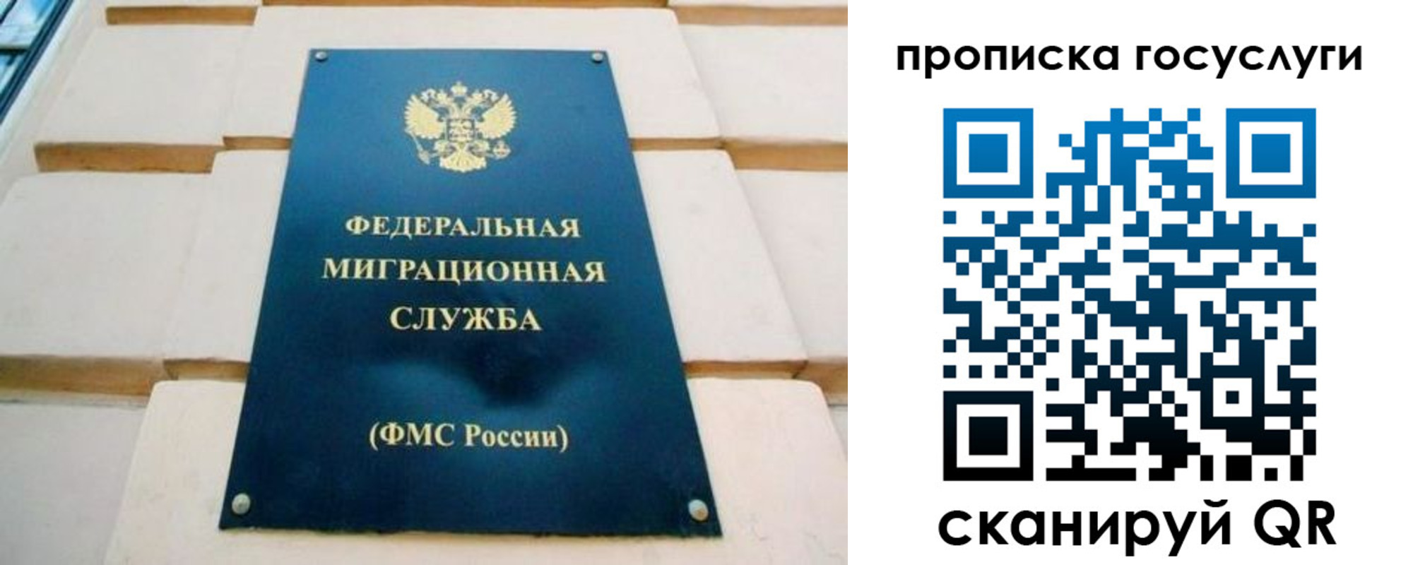 прописка поиск в Выксе